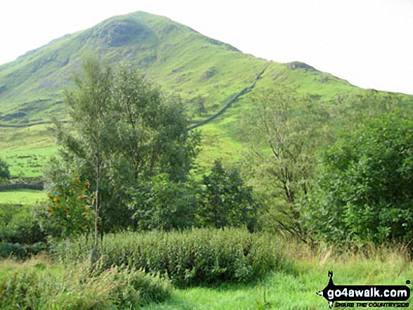 Walk c231 Stony Cove Pike (Caudale Moor) and Gray Crag (Hayeswater) from Hartsop - Hartsop Dodd from Hartsop