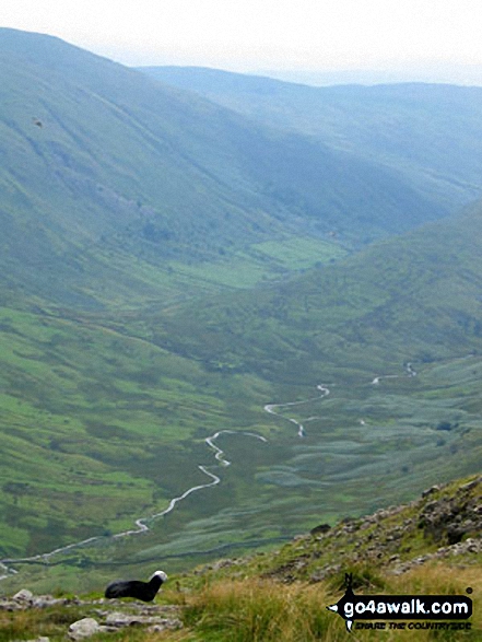 Walk c272 High Street and Angletarn Pikes from Brothers Water - Troutbeck from Stony Cove Pike (Caudale Moor)