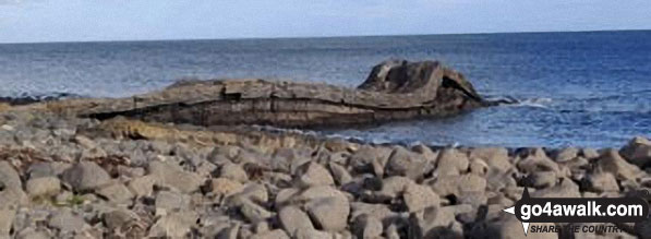 Walk n168 Cullernose Point from Craster - Coastal rock formations near Craster