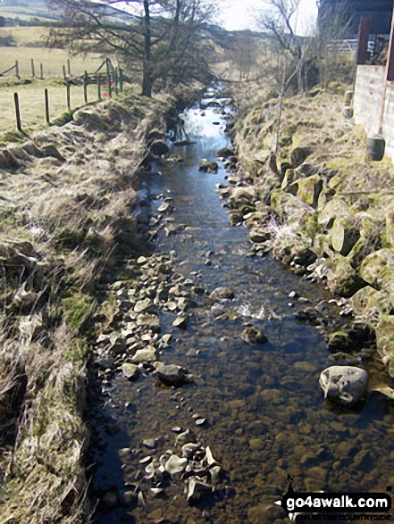 Walk l121 Easington Fell and The River Hodder from Slaidburn - Easington Brook