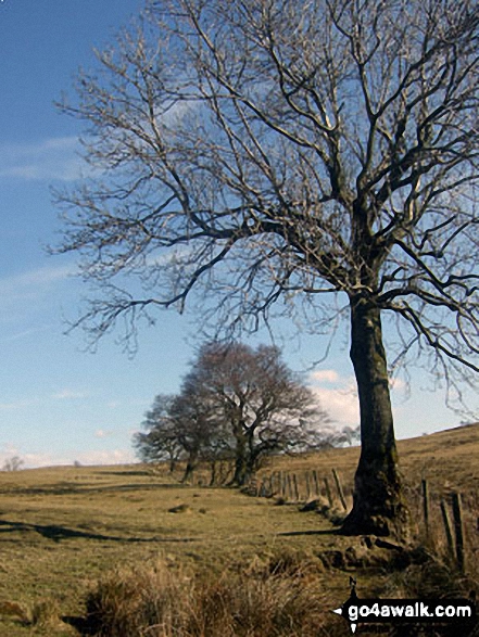 The Lancashire countryside near Easington Brook 