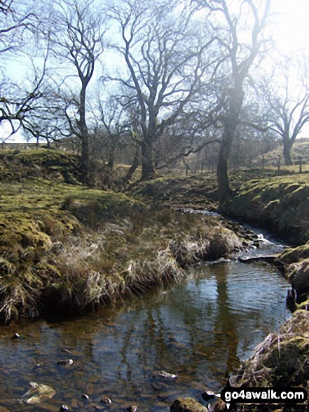 Walk l121 Easington Fell and The River Hodder from Slaidburn - Skelshaw Brook