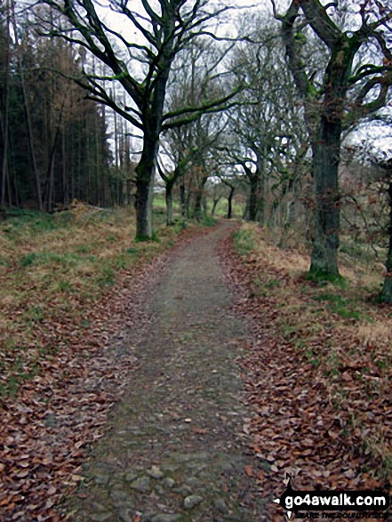 Walk sy108 Langsett Reservoir from Langsett Barn - Crookland Wood near Langsett Reservoir