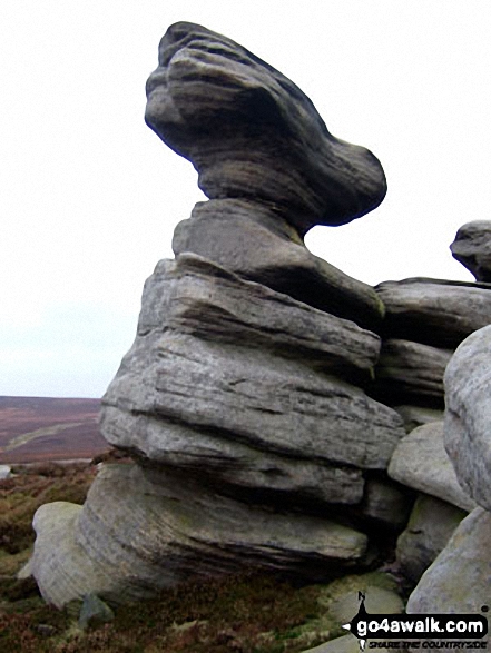 Walk sy119 Horse Stone and Outer Edge from The Flouch - Rocking Stones Rock Sculptures at Crow Stones Edge on Howden Moors