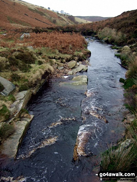 Walk sy108 Langsett Reservoir from Langsett Barn - The Porter or Little Don River in Hordron Clough