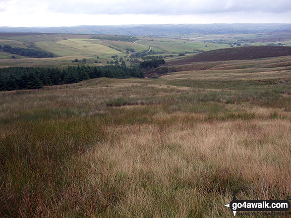 The view from Merryton Low 