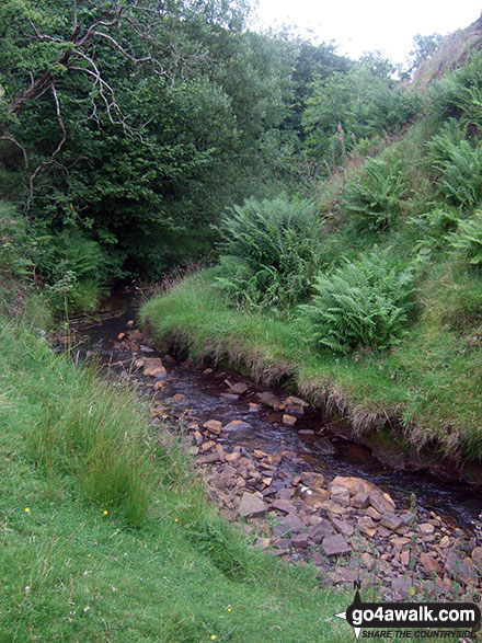 Blake Brook near Lower Fleetgreen Farm 