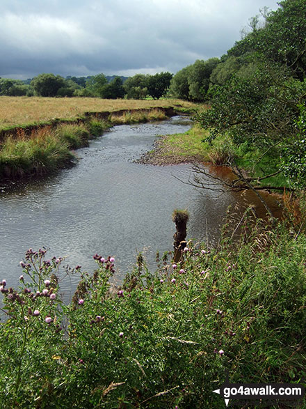 Walk s185 Hollinsclough and Earl Sterndale from Longnor - The River Manifold