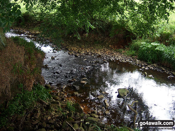 Walk s247 Blackstone Edge and Hollinsclough Moor from Hollinsclough - The River Manifold