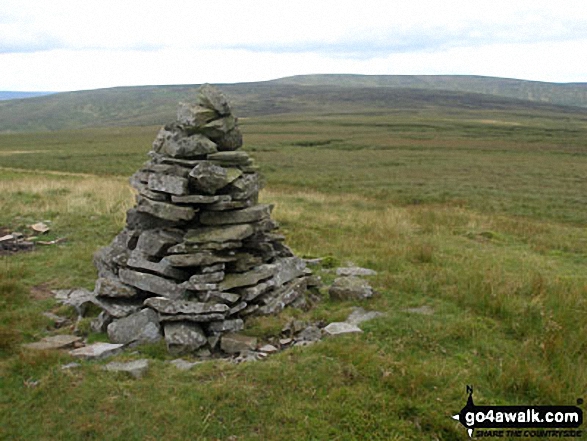 Walk du152 Great Stony Hill and Dead Stones from Burnhope Reservoir - Currick on the path North-West of Great Stony Hill