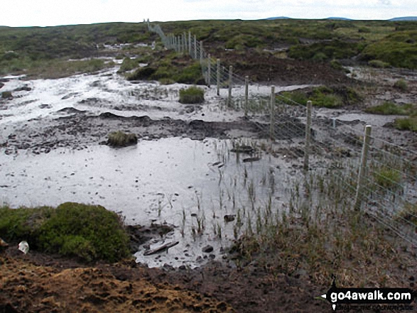 Boggy ground between Scaud Hill and Redgleam (Harwood Common) 