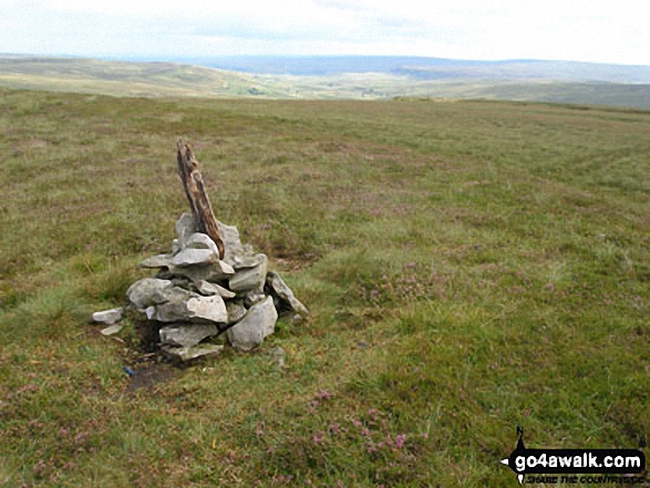 Redgleam (Harwood Common) summit cairn