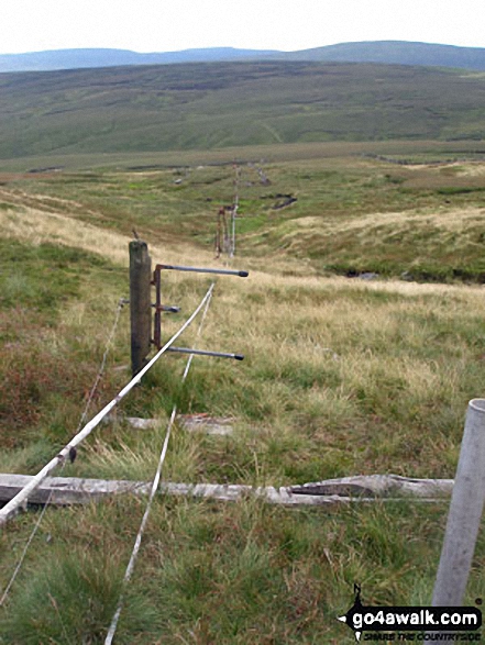 Ski Tow on the lower slopes of Redgleam (Harwood Common)