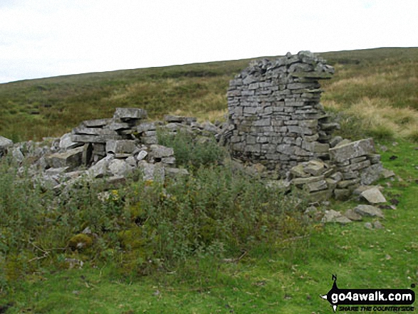 Ruin on the lower slopes of Redgleam (Harwood Common)