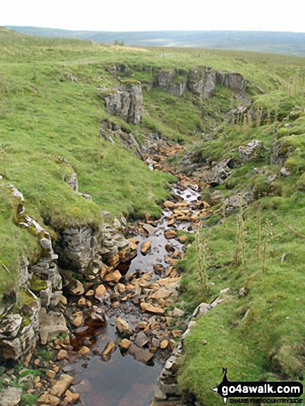 The beck we followed up Viewing Hill from Holdenhurth Band