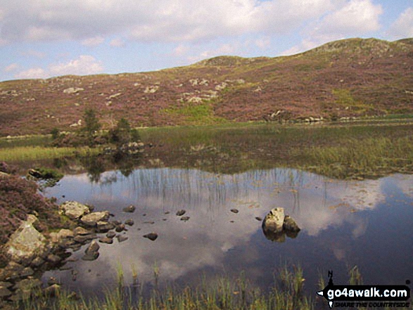 Walk c143 Brund Fell and King's How from Rosthwaite - Dock Tarn