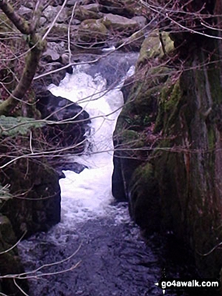 Walk c352 Gowbarrow Fell (Airy Crag) from Aira Force - Aira Force - The Lower Falls