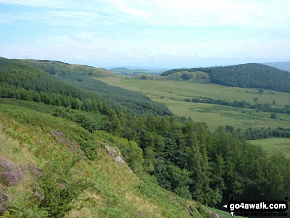 Walk c352 Gowbarrow Fell (Airy Crag) from Aira Force - East from Collier Hagg (Gowbarrow Fell)