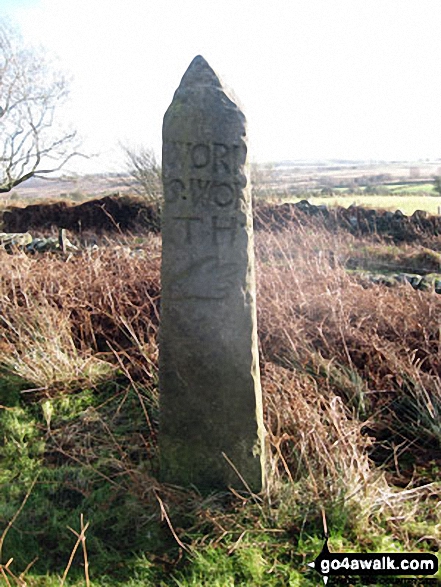 Walk d125 Hob Hurst's House and Beeley Moor from Beeley - Ancient Guide Stoop/Sign Post SW of Beeley Moor Trig Point