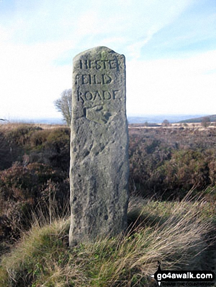 Walk d181 Hob Hurst's House and Beeley Moor from Hell Bank Plantation, Beeley - Ancient Guide Stoop/Sign Post South of Harland Sick