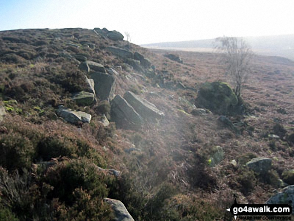 Walk d125 Hob Hurst's House and Beeley Moor from Beeley - Harland Edge, Beeley Moor