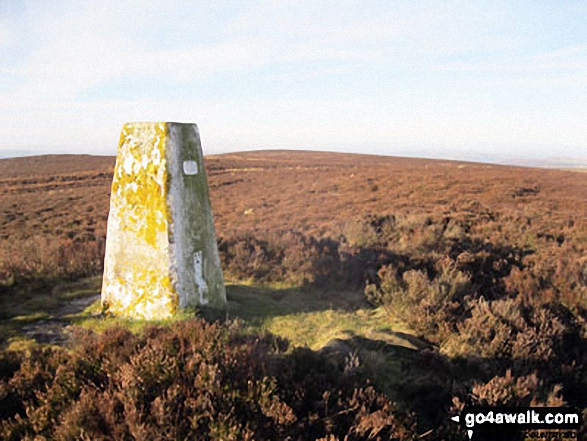 Walk d125 Hob Hurst's House and Beeley Moor from Beeley - Beeley Moor (South East Top) Summit Trig Point