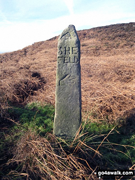 Walk d181 Hob Hurst's House and Beeley Moor from Hell Bank Plantation, Beeley - Ancient Guide Stoop/Sign Post SW of Beeley Moor Trig Point