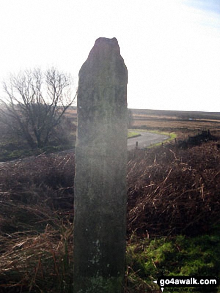 Walk d125 Hob Hurst's House and Beeley Moor from Beeley - Ancient Guide Stoop/Sign Post SW of Beeley Moor Trig Point