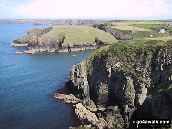 Walk pe119 Pen Dal-aderyn from Porthstinian - The Pembrokeshire Coast Path