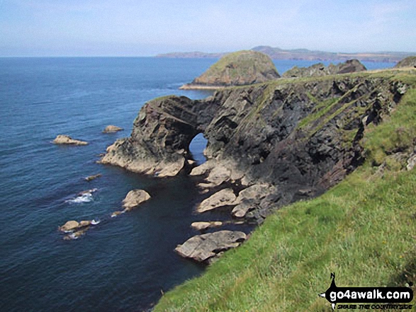 Walk pe119 Pen Dal-aderyn from Porthstinian - The Pembrokeshire Coast Path