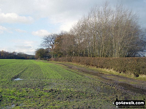 Walk ch177 Holford Hall and Royd Wood from Plumley - The Cheshire Countryside near Holford Hall