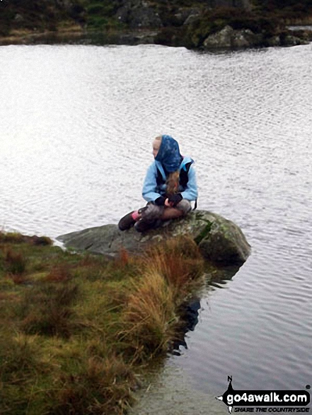 Walk c120 The Ennerdale Horseshoe - On the shore of Innominate Tarn near Hay Stacks (Haystacks)