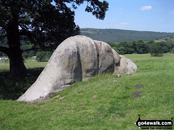 Walk d310 Dobb Edge and Chatsworth Park from Chatsworth House - Jubilee Rock in Chatsworth Park