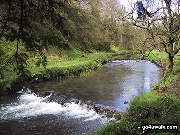 Walk d318 Beresford Dale, Alstonefield and Wolfescote Dale from Hartington - Wolfscote Dale