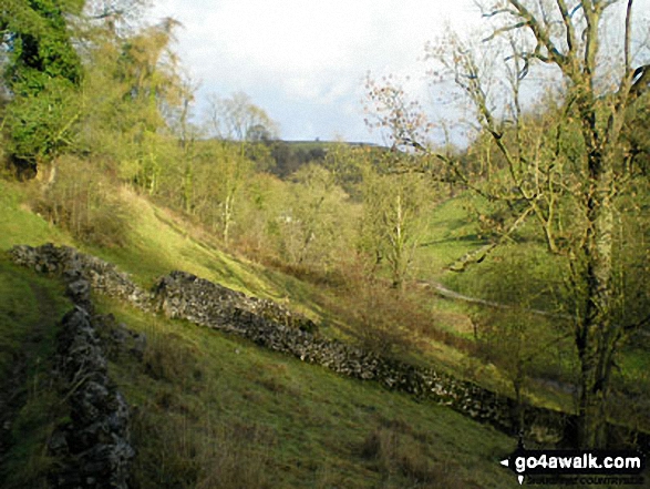 Walk s238 Manifold Valley, Ilam, Dove Dale, Milldale, Alstonefield and Wetton from Weag's Bridge - Dove Dale near Milldale, 