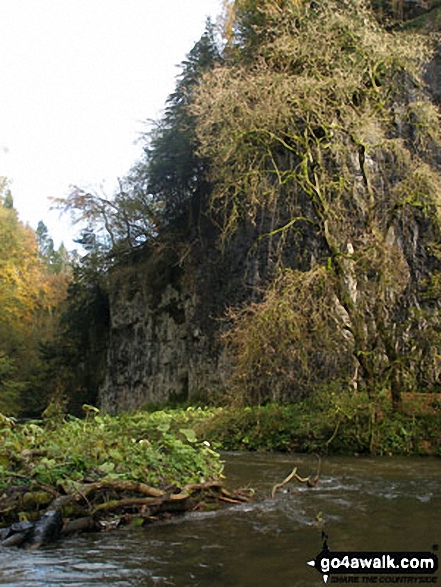 Walk d249 The Monsal Trail, Miller's Dale and Chelmorton from Wye Dale - The River Wye in Chee Dale