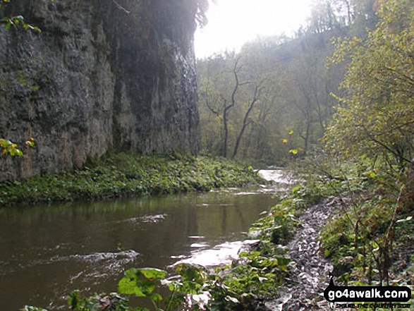 Walk d265 The Monsal Trail and Taddington from Wye Dale - The River Wye in Chee Dale