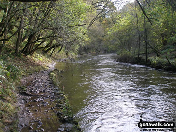 Walk d249 The Monsal Trail, Miller's Dale and Chelmorton from Wye Dale - The River Wye in Chee Dale