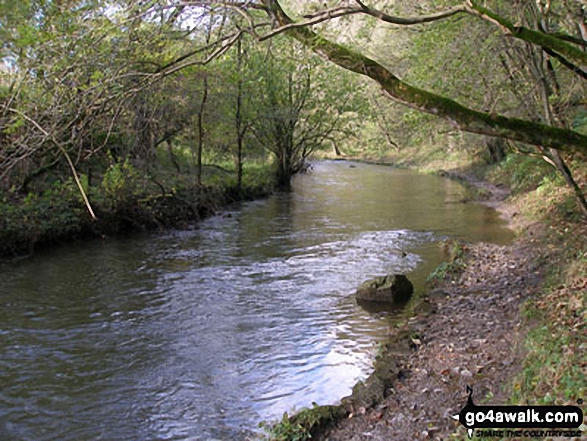 Walk d265 The Monsal Trail and Taddington from Wye Dale - The River Wye in Chee Dale