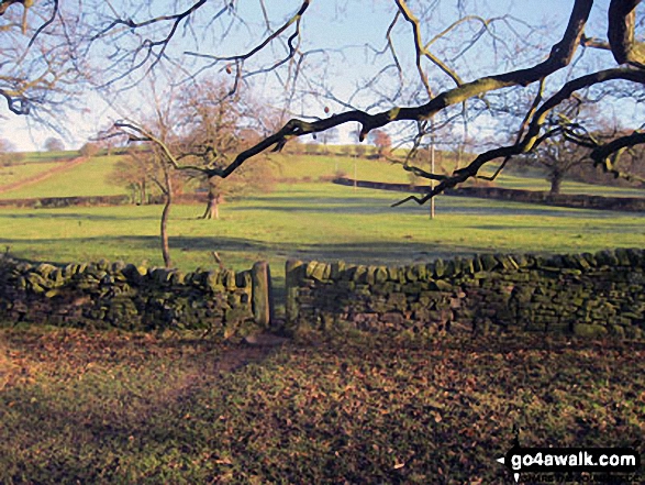 Walk d125 Hob Hurst's House and Beeley Moor from Beeley - Footpath to Beeley Hilltop Farm from Beeley