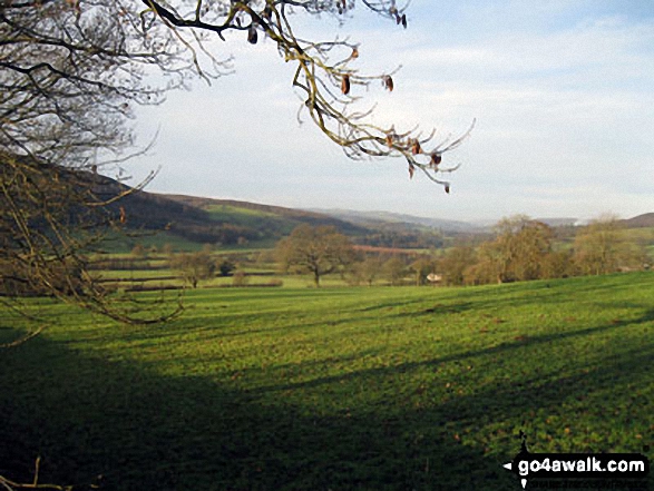 Walk d317 Beeley and Beeley Plantation from Calton Lees - Fields near Smeltingmill Wood near Beeley