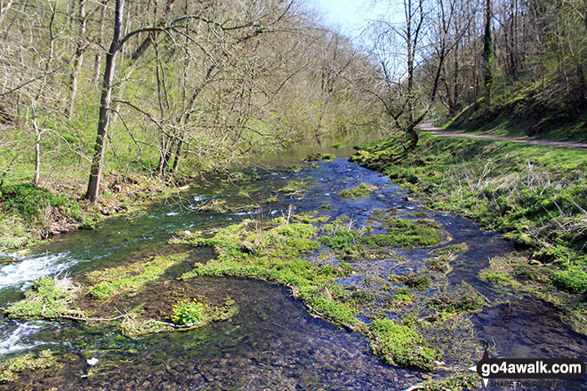 Walk d127 Lathkill Dale and Bradford Dale from Youlgreave - The River Bradford near Youlgreave in beautiful Bradford Dale