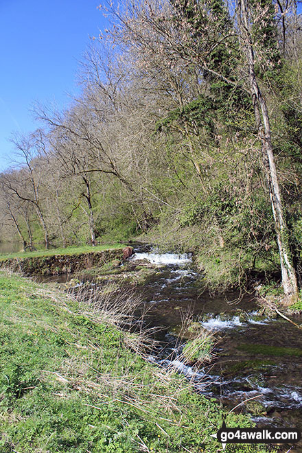 Walk d151 Youlgreave, The Limestone Way and Lathkill Dale from Over Haddon - The River Bradford near Youlgreave in beautiful Bradford Dale