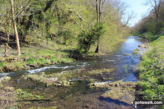 Walk d313 Winster, Youlgreave and Birchover from Darley Bridge - The River Bradford near Youlgreave in beautiful Bradford Dale