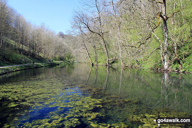 Walk d194 Elton and The Limestone Way from Youlgreave - The River Bradford near Youlgreave in beautiful Bradford Dale