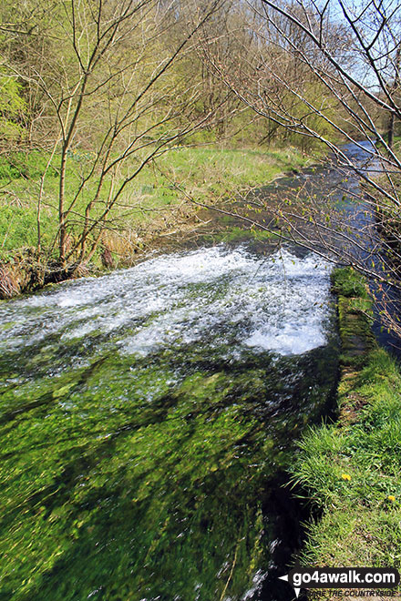 Walk d127 Lathkill Dale and Bradford Dale from Youlgreave - The River Bradford near Youlgreave in beautiful Bradford Dale