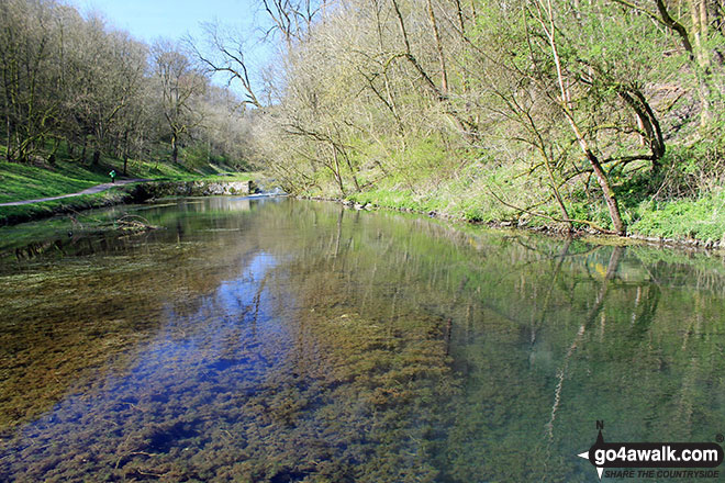 Walk d319 Youlgreave, Elton and The Limestone Way  from Winster - The River Bradford near Youlgreave in beautiful Bradford Dale