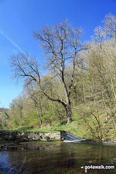 Walk d295 Bradford Dale, Long Dale, Gratton Dale and  Elton from Youlgreave - The River Bradford near Youlgreave in beautiful Bradford Dale