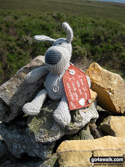 Walk ny222 Ana Cross and Appleton-le-Moor from Hutton-le-Hole - Soft toy on the large cairn near Ana Cross