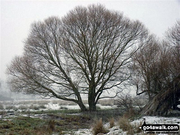 The Norfolk Countryside near Weeting in the snow 